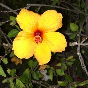 Meet your Posher, Noelia